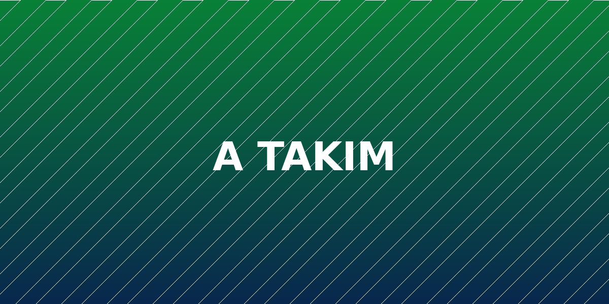 A Takım takım fotoğrafı