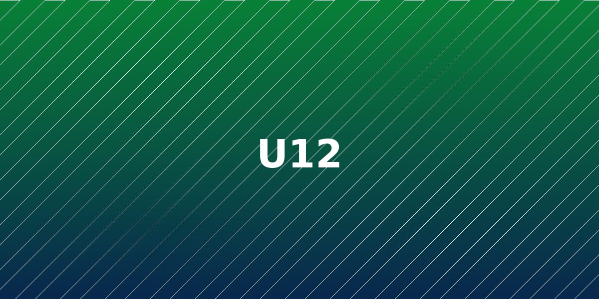 U-12 takım fotoğrafı