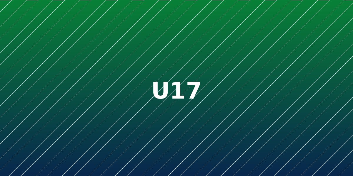U-17 takım fotoğrafı